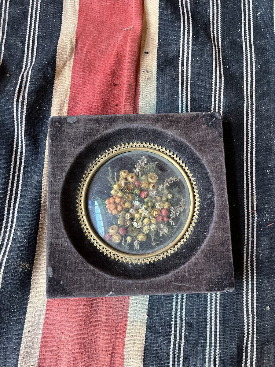 Λουλούδια και Βότανα σε Κορνίζα